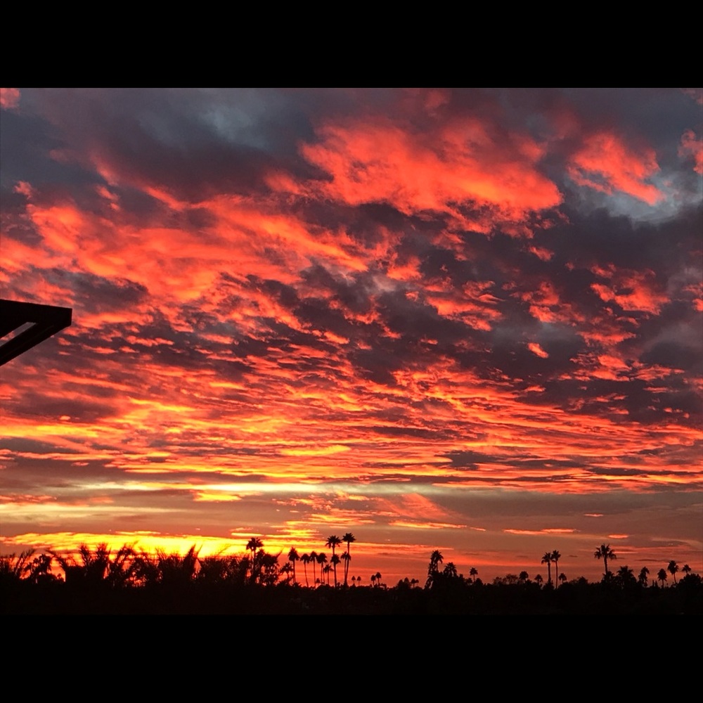 Meet your Posher, Patricia